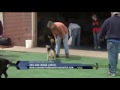 The Canine's Champion TV spot 2.wmv