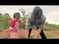 Single Mother - The first bunches of vegetables in the garden are harvested and sold