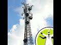 Is it safe to live near a cell phone tower?