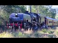 Garratt 6029 Climbs the Redbank Range to Thirlmere | Festival of Steam 2024