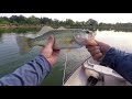 A quick catch of a Largemouth Bass.