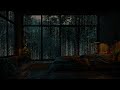 RAIN in the Forest to Sleep Instantly - Fall Asleep Immediately with Rain Sounds on the Window