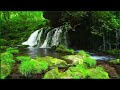 Breathtakingly Beautiful Waterfall & Gentle River Sounds ✦ Forest Sounds & Birdsong ✦ Nature Sounds