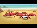 Octonauts - Long Armed Squid & The Fiddler Crabs | Cartoons for Kids | Underwater Sea Education