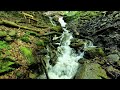 Soothing Water Stream Sounds for Relaxation and Sleep | Nature's Tranquil Symphony - 4K