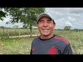 Agricultor na roça Olivença AL 29 12 2021 #nordeste