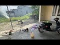 Transformation garden washing yard planting trees mowing pruning trees free help young single mother