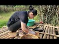 Harvesting small chili gardens for sale - chili preservation process - Nguyễn Thị Ngát