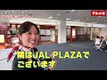 羽田空港を歩き尽くしてるグランドスタッフに穴場スポットを聞いてみました