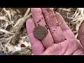 What Did We Stumble Across? - Strange Old Coins Found Metal Detecting a 300 Year Old Farm!