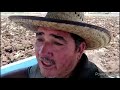 Barbechando con Tractor NEW  Holland 7610 Turbo y MASSEY FERGUSON 2690 Turbo