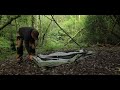 Is this tent ANY GOOD - wild camp in a Geertop Bivy