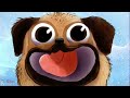 Fluffy McWhiskers Cuteness Explosion - Animated Read Aloud Book for Kids