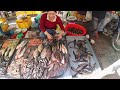 Amazing! Cambodian Street Food, Traditional Market Tour - Crab, Shrimp, Fish, Fruit, Noodles, & More