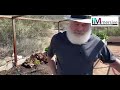 IMmersive: A Remote Self-Care Experience - At Home with Dr. Andrew Weil