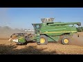 Mietitura orzo 2023 con John Deere 9780 CTS + trattore John Deere 7530 con rimorchio  Barley harvest