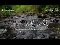 Relaxing Quran Recitation for Stress Relief Surah Al-Mulk, Al-Waqiah, Ar-Rahman, Yaseen/ Yasin