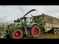 JETZT WOLLEN WIR S'' WISSEN! 60T/HA & 5000HA Mais! Claas Jaguar 990 Frist sich mit 925PS duch