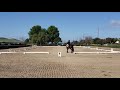 Tyrus Competes 2/23/20 Dressage Intro A Test
