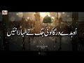 Kamli wale Muhammad to Sadke mein jaan | Lyrics Urdu | New Naat | Naat Sharif | Usman Qadri