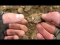 This Field Is On Fire With Medieval Silver Coins | Metal Detecting | Minelab Manticore