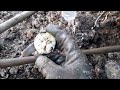 Digging for Antique Bottles in Mud Soup!  City Dump Dig