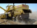 New Holland Clayson 8080 combining wheat