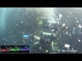 GoPro Hero 3 Black Underwater  - Protune & CamRaw Color at various depths