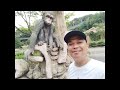 WHATS INSIDE SEOUL ZOO | Discover South Korea