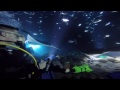 Manta Ray Night Dive, Kona