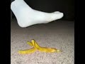 guy slipping on a banana with spongebob music