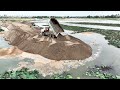 Project! Excellent SHANTUI  Push Sand Rock In lake With Truck Dump 25Ton Delivery
