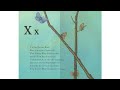 The Extinct Alphabet Book - Read Aloud