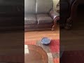 Stop your RoboVac from going under your couches!