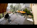 Hurricane Dorian (2019): Category 5 footage (185mph/295kmh+), Marsh Harbour, Abaco, Bahamas