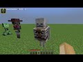 x200 wither skeletons and X100 tnts combined