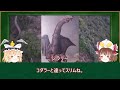 【歴代ウルトラマン】衝撃的な強さ！最強の歴代ラスボス怪獣まとめ 35選【ゆっくり解説】