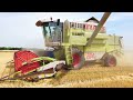 ONE DAY IN THE FIELD with CLAAS combines