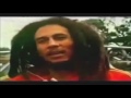 Bob Marley - Alcohol vs Marijuana