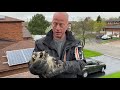 Orphaned Baby Raccoons Get Rescued!