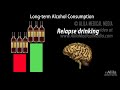 Effects of Alcohol on the Brain, Animation, Professional version.