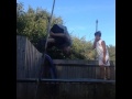 Trampoline flip challenge