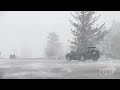 01-13-2024 Crown Point, OR  - Intense Blizzard With Nearly 100mph gusts - Car Crushed by Tree