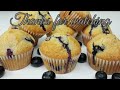Blueberry Muffins | Quick And Easy Blueberry Muffin Recipe
