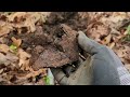 Found stove and parts of military belt at old house site in East Tennessee.   | Minelab Equinox 900.