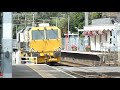 Train spotting at Roydon