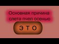 Основная причина осеннего слета пчел