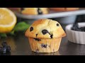 Blueberry Lemon Muffins | Bakery Style Muffins | How Tasty Channel