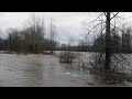 Nooksack River at Everson Road Everson Washington 2-1-2020-2