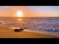 Virtual Walk: Beautiful Beach Sunset in 4K over Monterey Bay, California
